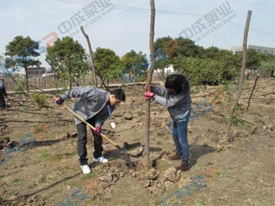 2012.3.12中成泵業(yè)植樹(shù)節(jié)活動(dòng)報(bào)道